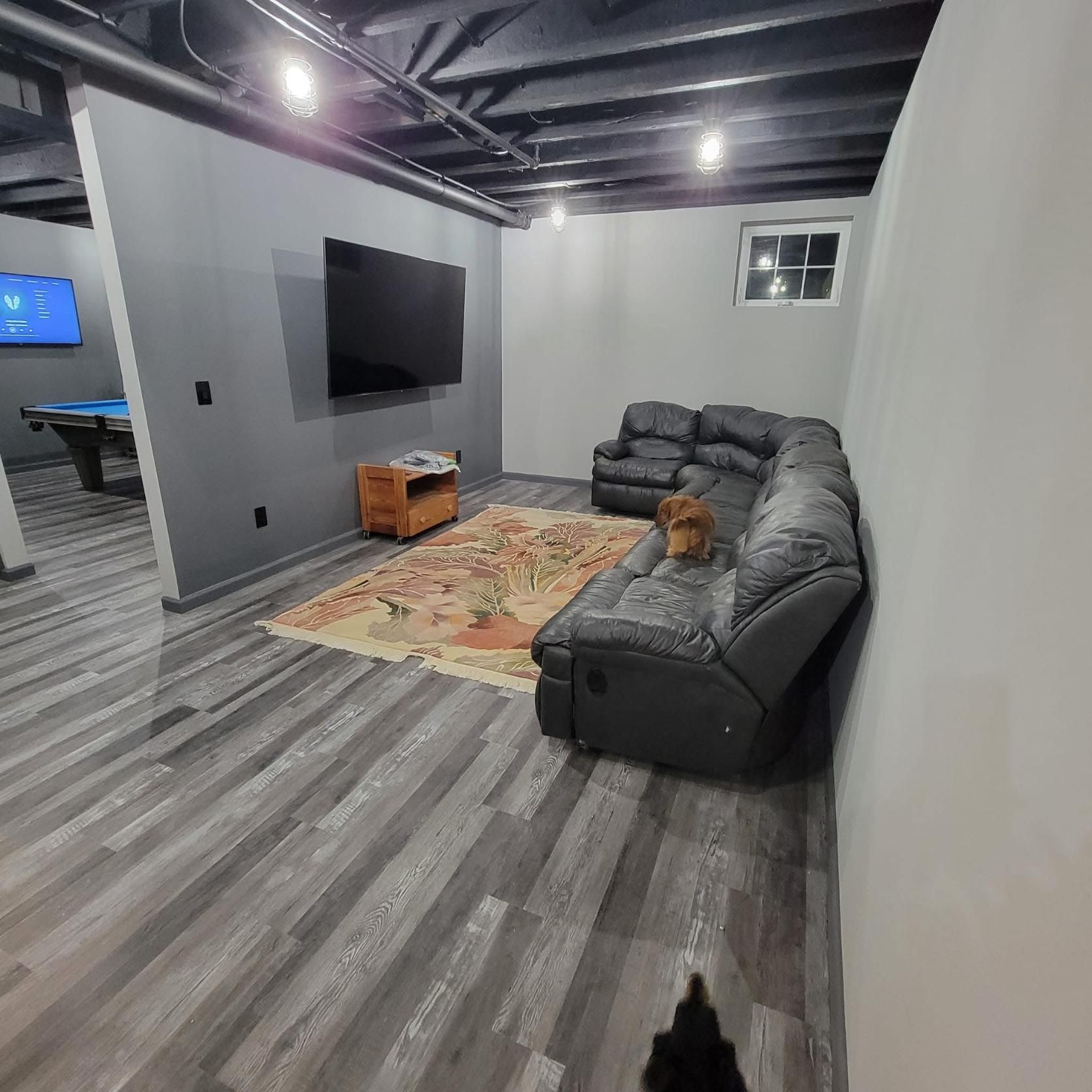 A finished basement with a sectional sofa, TV, and pool table; dog sits on the couch.