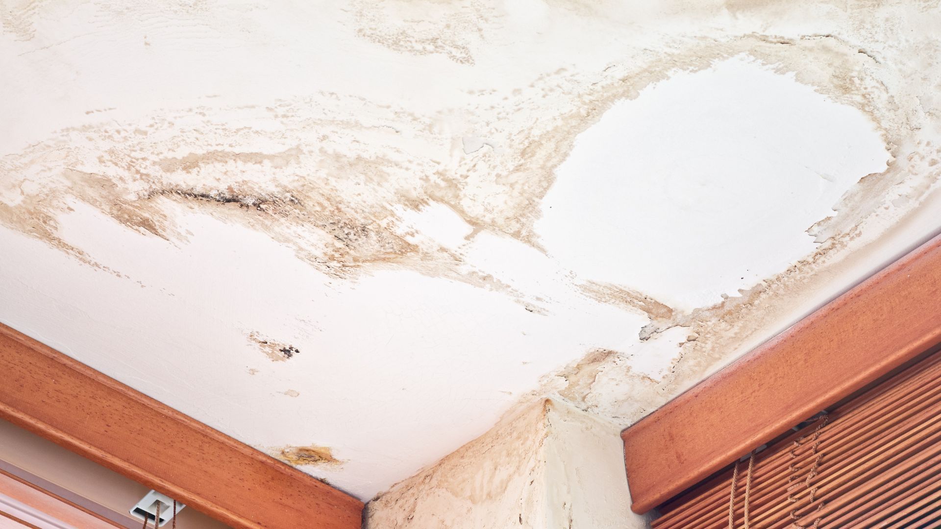 A ceiling with a lot of mold on it and a window.