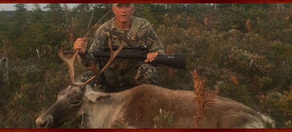 Trophy Caribou