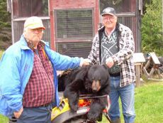 Two men are standing next to a black bear on a snowmobile.