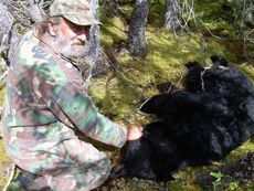 A man is kneeling down next to a black bear in the woods.