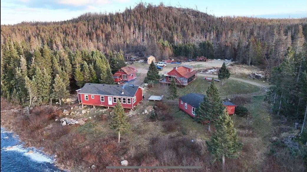 An aerial view of a house in the middle of a forest.
