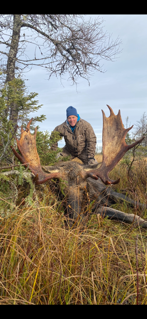 A man is standing next to a large moose in a field.