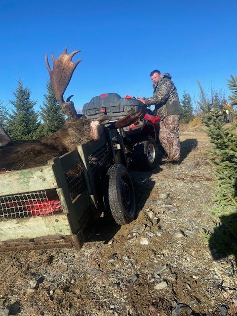 A man is loading a moose on a four wheeler.
