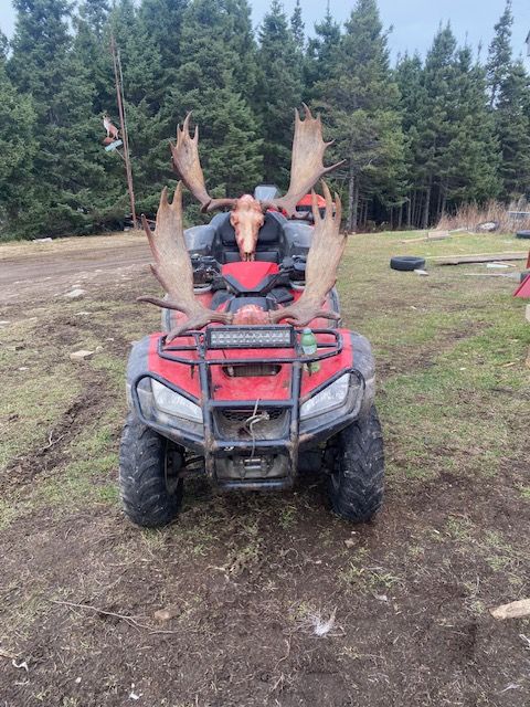 A moose is sitting on top of a red atv in a field.
