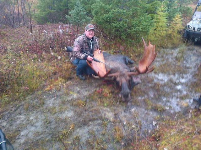 A man is kneeling next to a moose in the woods.