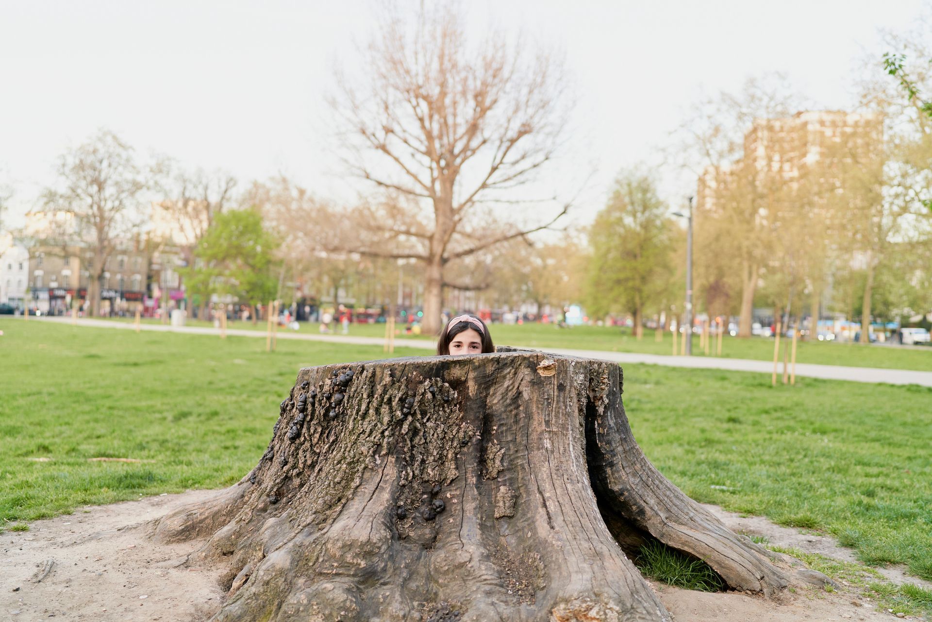 Man Back  | Winter Haven, FL | Durham’s Tree Service