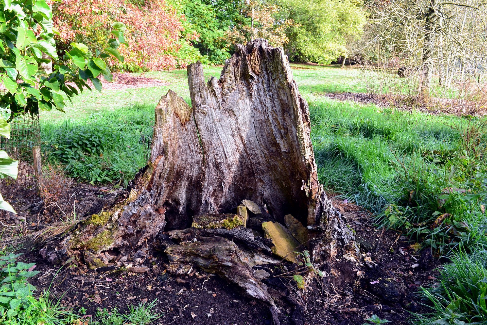 Man Cutting  | Winter Haven, FL | Durham’s Tree Service