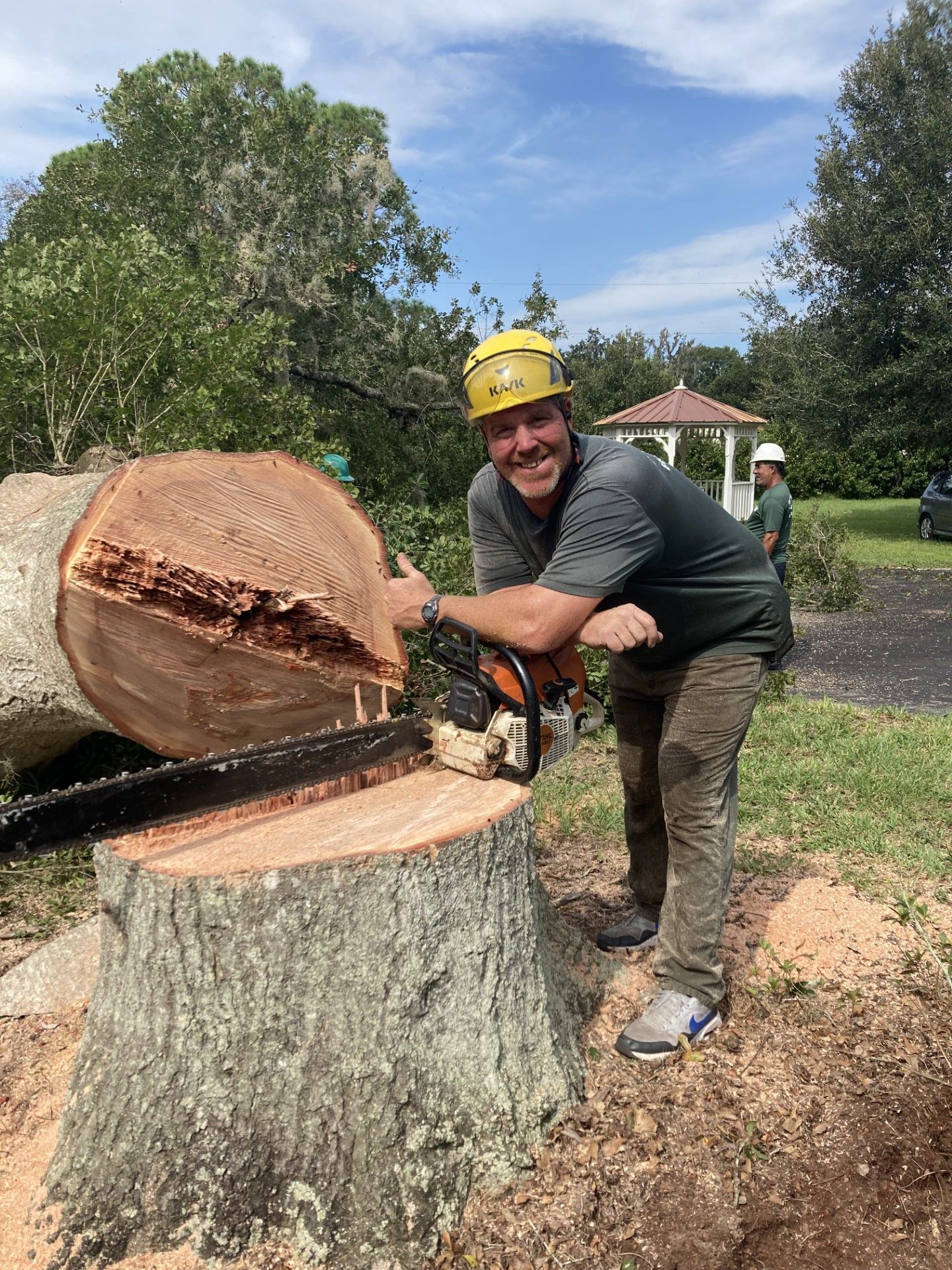 Stump  | Winter Haven, FL | Durham’s Tree Service