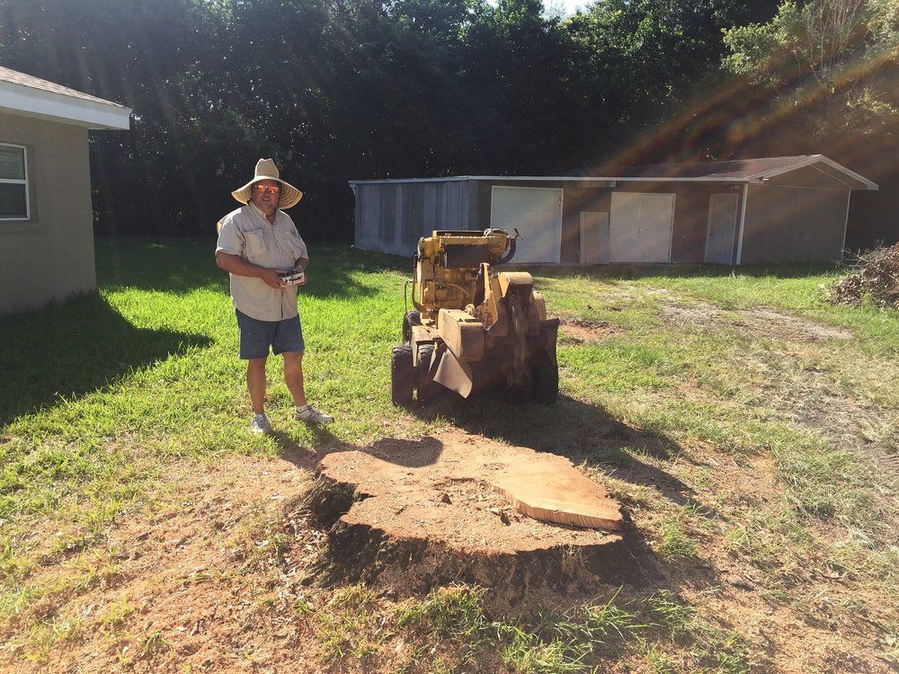 Worker On Tree  | Winter Haven, FL | Durham’s Tree Service