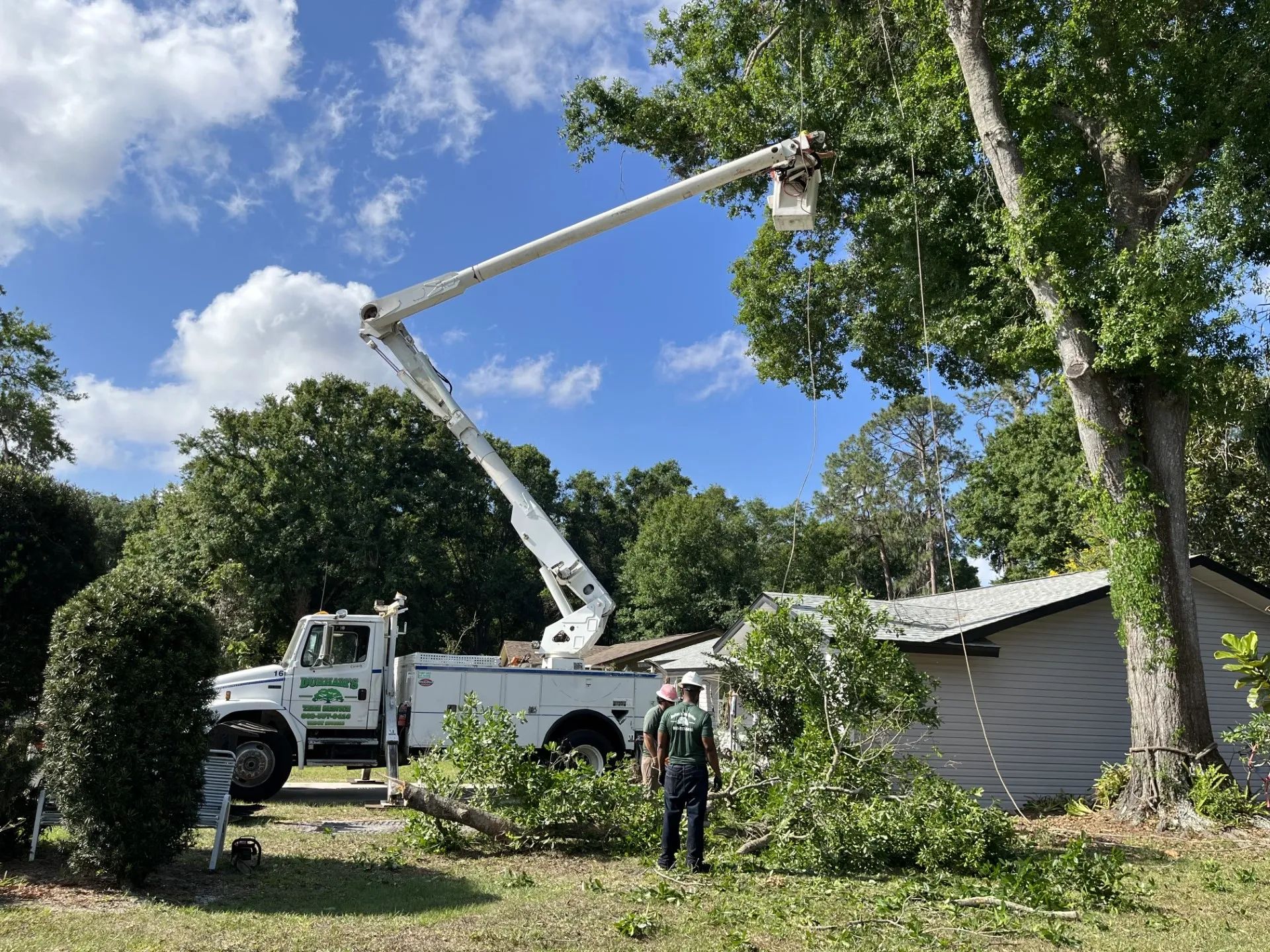 Chainsaw  | Winter Haven, FL | Durham’s Tree Service