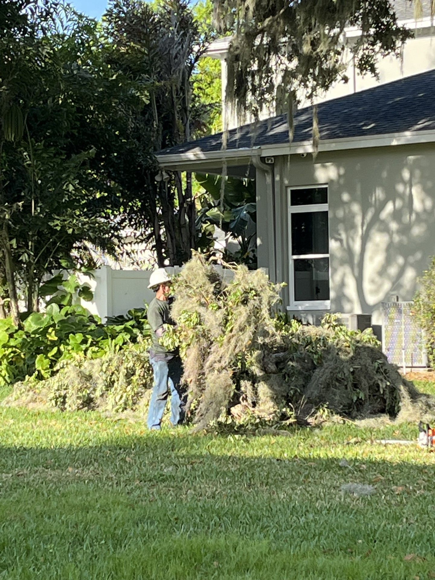 Man Trimming Tree  | Winter Haven, FL | Durham’s Tree Service