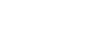 Vanni logo