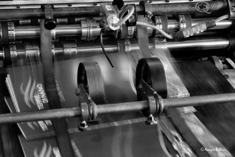 Stampa di opuscoli con grafica personalizzata