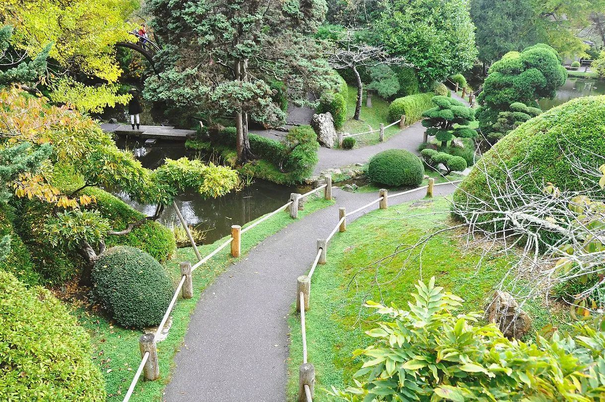 A path leading to a pond in a garden surrounded by trees and bushes.