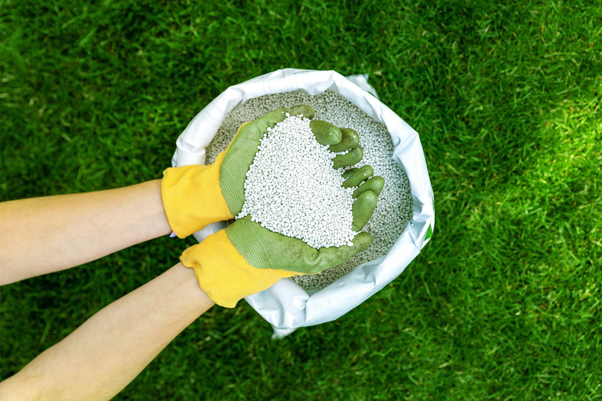 Hands in yellow gloves holding fertilizer granules over a bag on a green lawn.