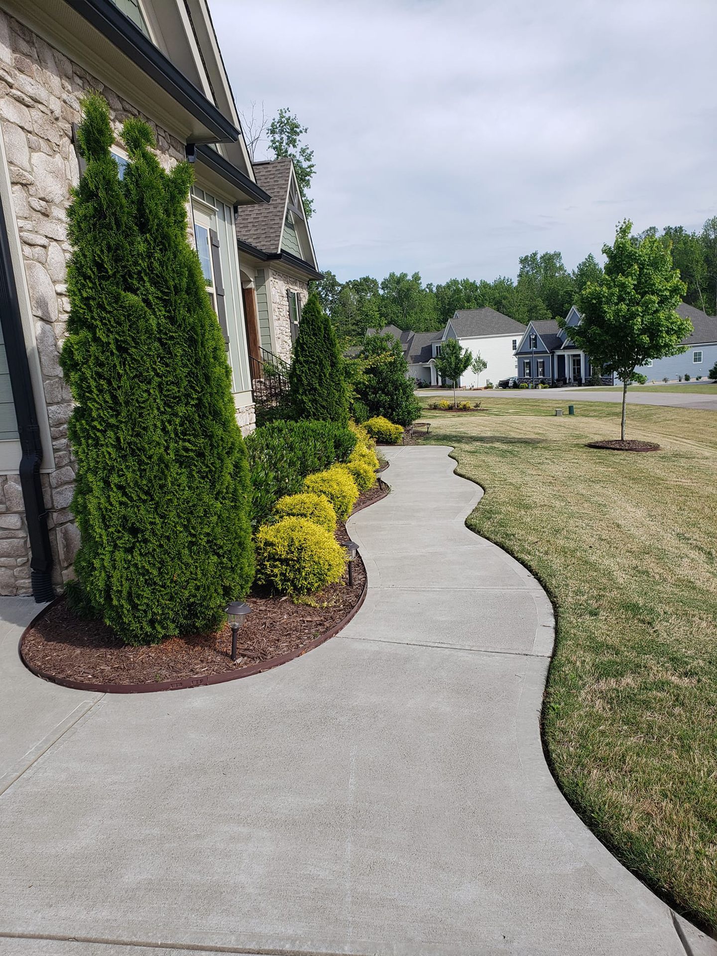 Curved concrete sidewalk next to a house with landscaping and a dry lawn.