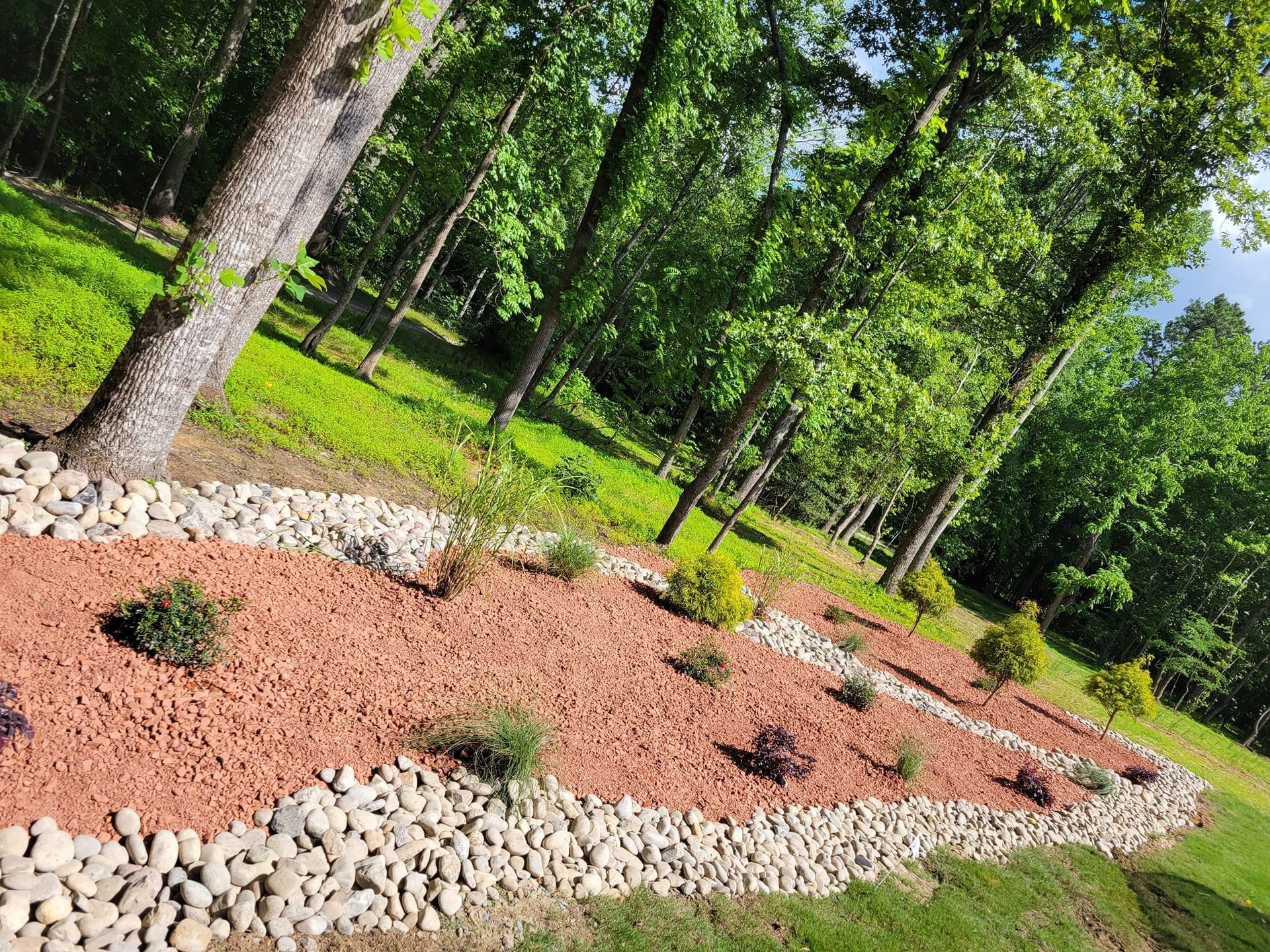 A landscaped garden bed with red mulch, small plants, and a border of gray river stones, trees in background.