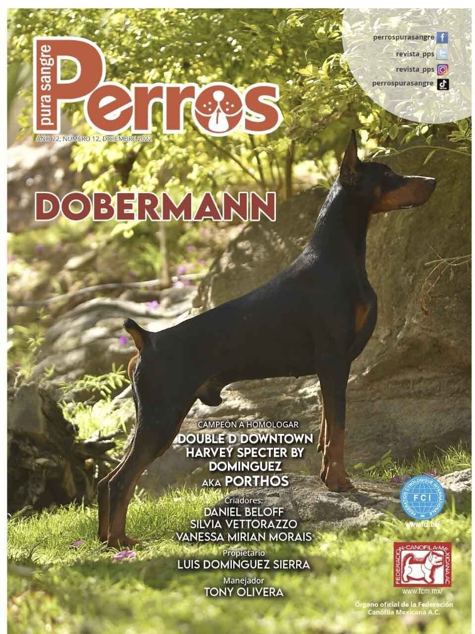 criadero de doberman