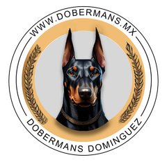 Doberman venta logo