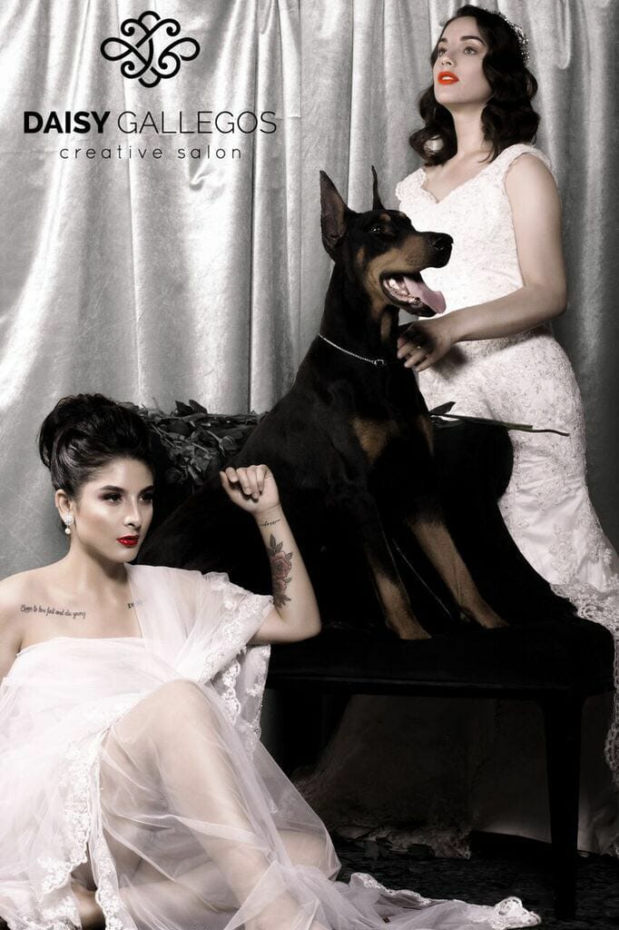 perros doberman pinscher en venta