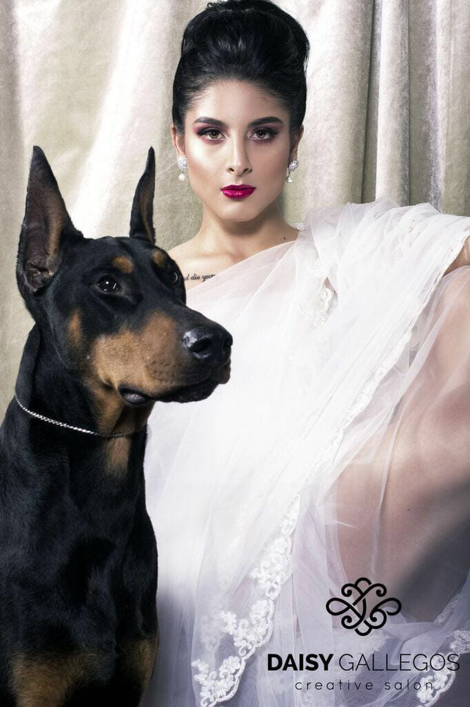 perros doberman pinscher en venta