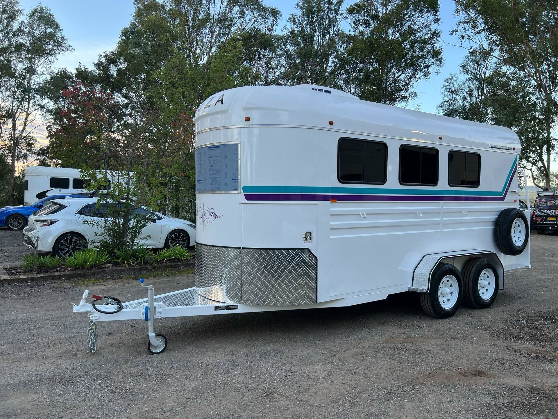 White Horse Trailer with Blue and Purple Stripes, Parked Outdoors — Sparky's 4x4 Auto Electrical In Taminda, NSW