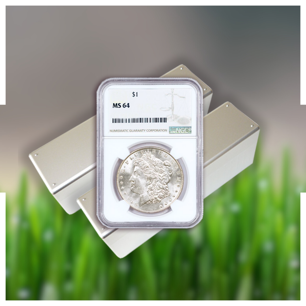 A coin in a case next to a bar of silver