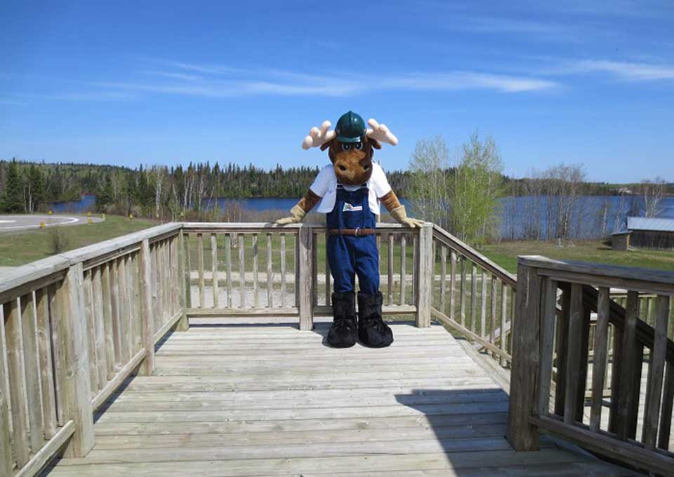 Person dressed in a moose costume standing on a deck with beautiful lake in behind