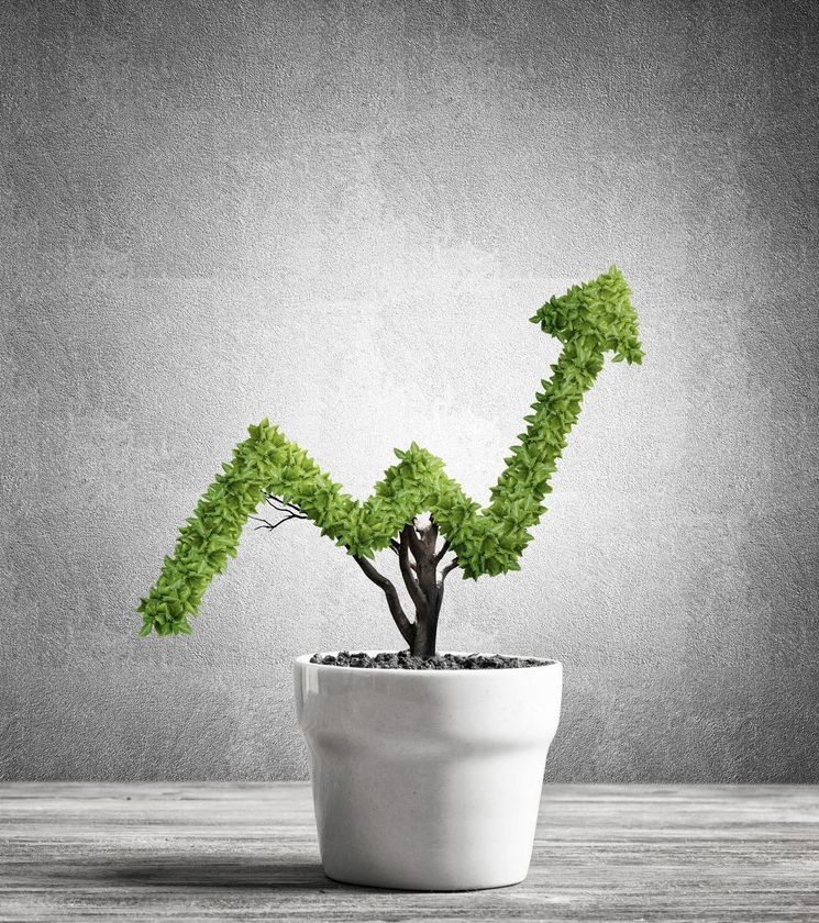 growth opportunities