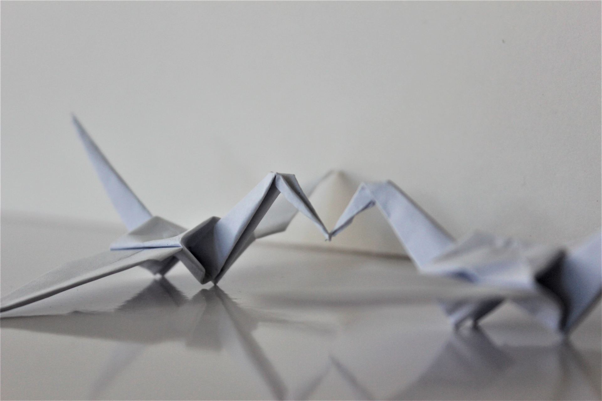 Origami birds folded out of white paper