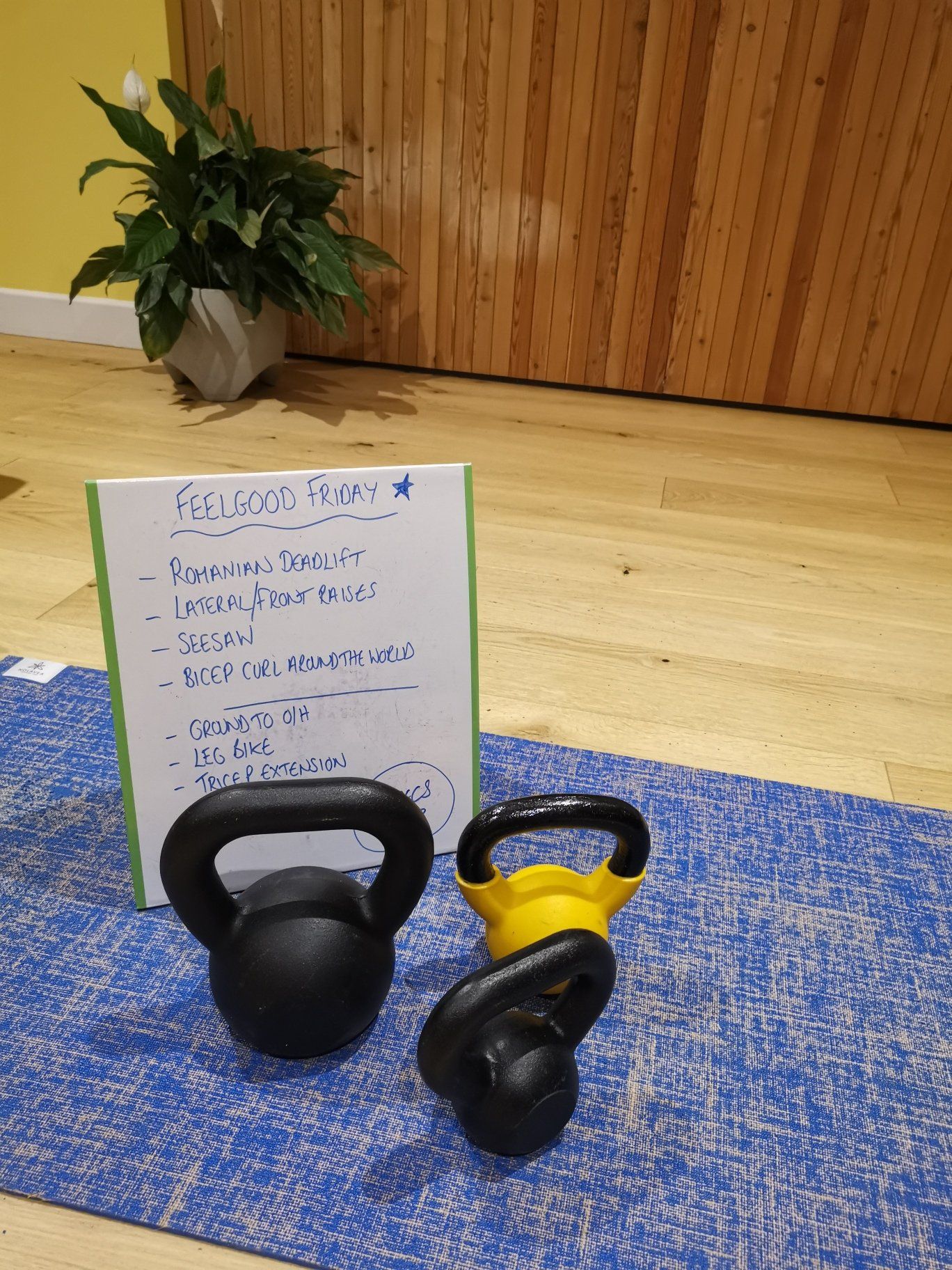 tazfit gallery image