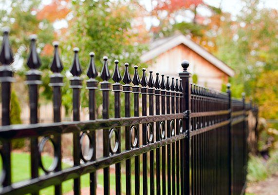 Fence Repairs — Newly Painted Fence in Central Florida