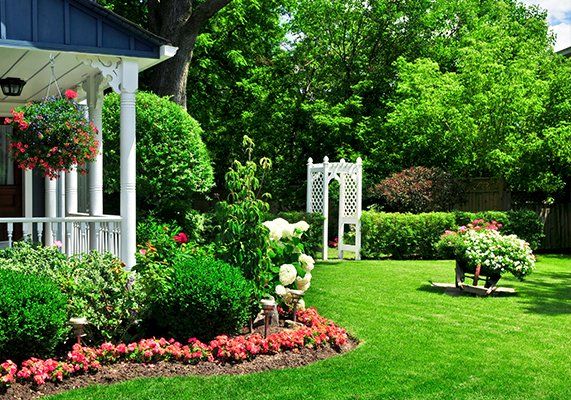 Landscaping — Flowers and Garden in Central Florida