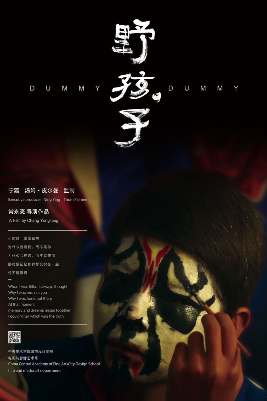 Dummy Dummy poster