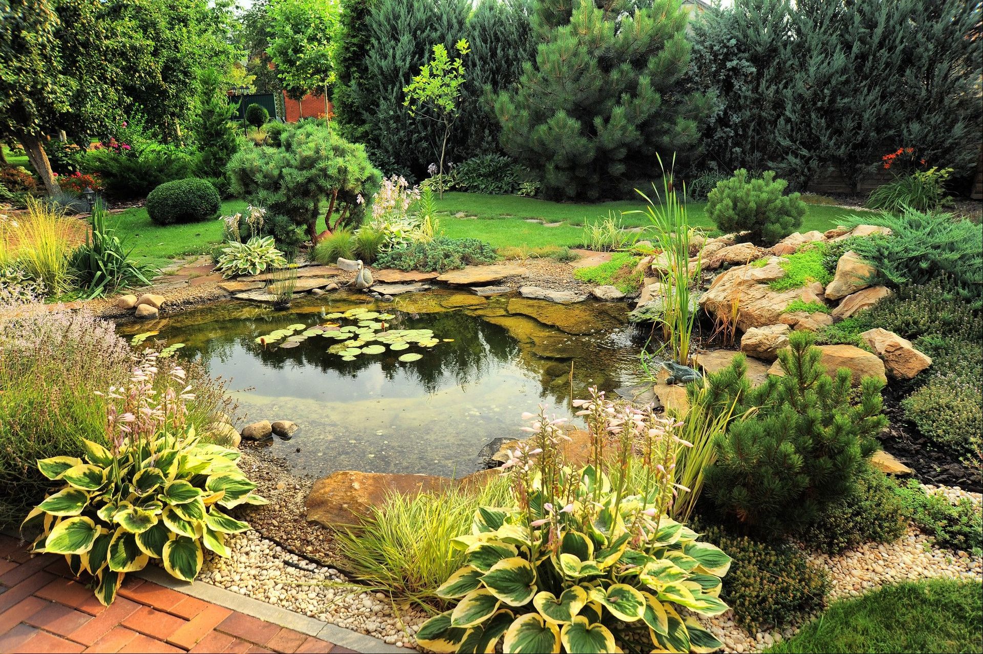 pond with rockery edge and water lilies