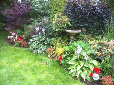 mature border and rockery plants and stone urn type planter