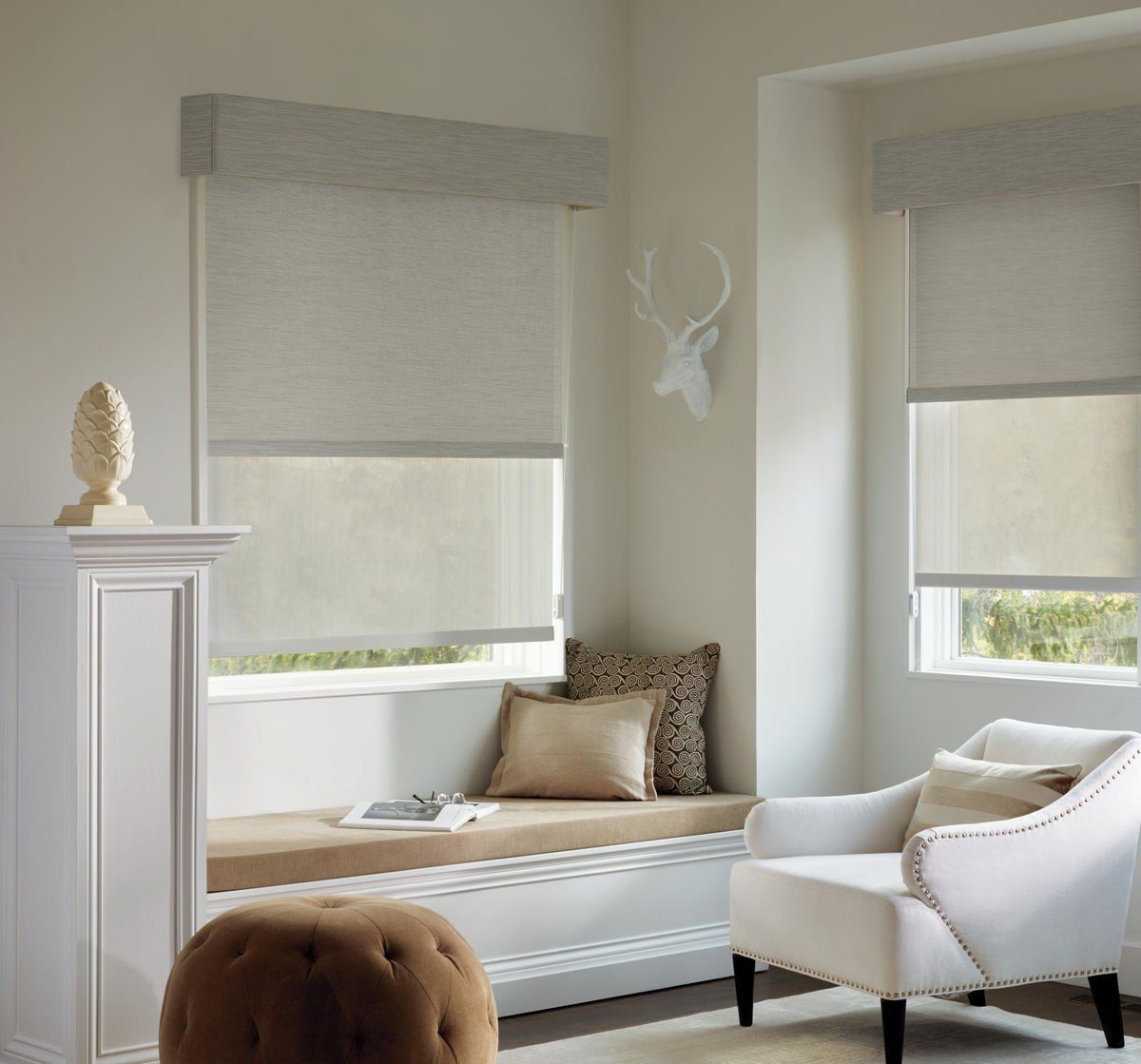Hunter Douglas Designer Roller Shades, Sheers & Shadings at Blind Spot near Rocklin, California (CA)