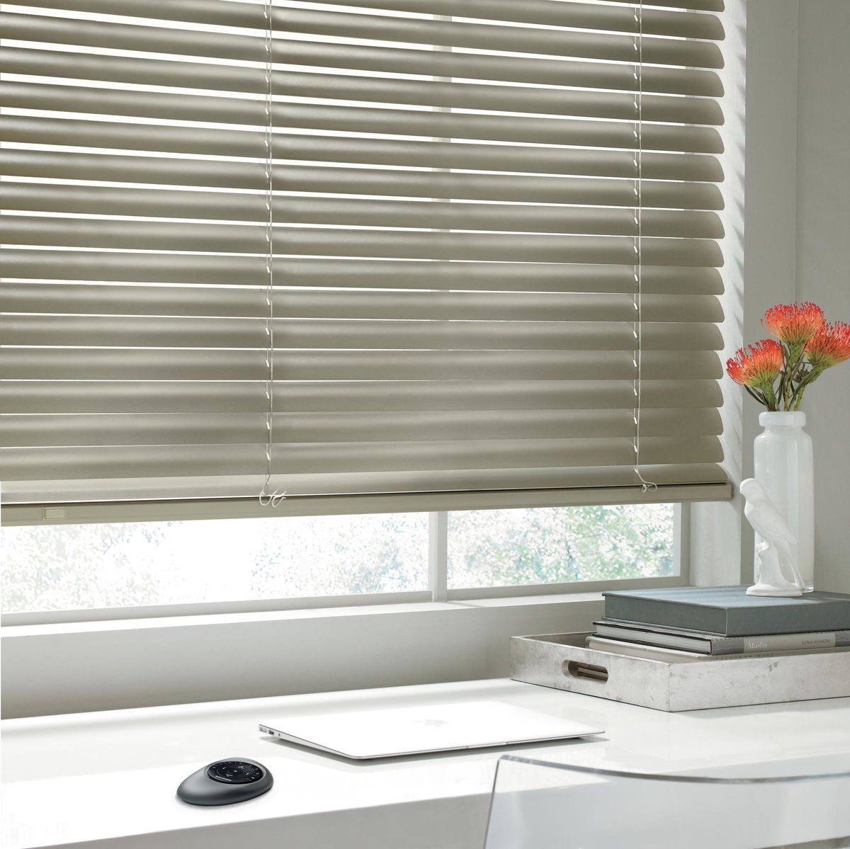 Hunter Douglas Modern Precious Metals® Aluminum Blinds with PowerView® Automation near Rocklin, California (CA)