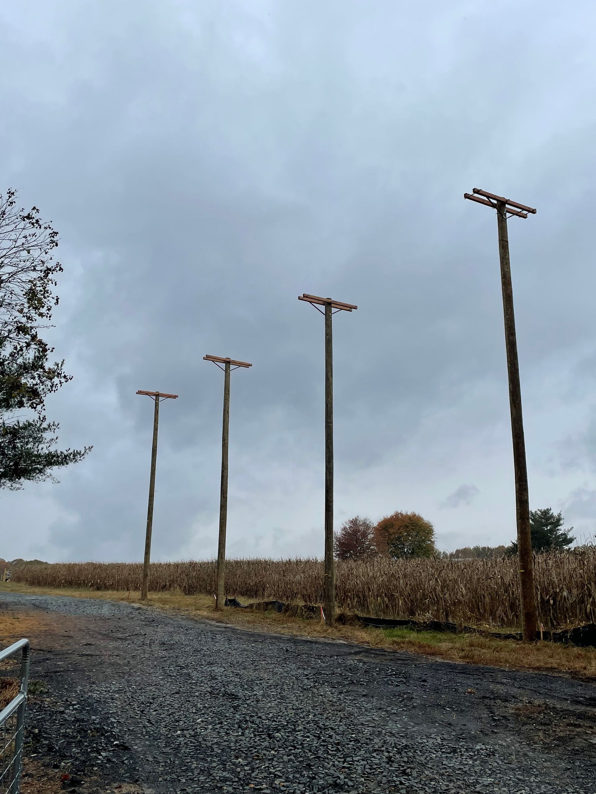 Five tall, wooden utility poles line a gravel road next to a field under a cloudy sky.