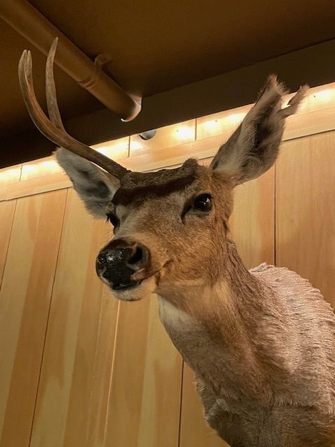 PWI San Diego Holiday Party