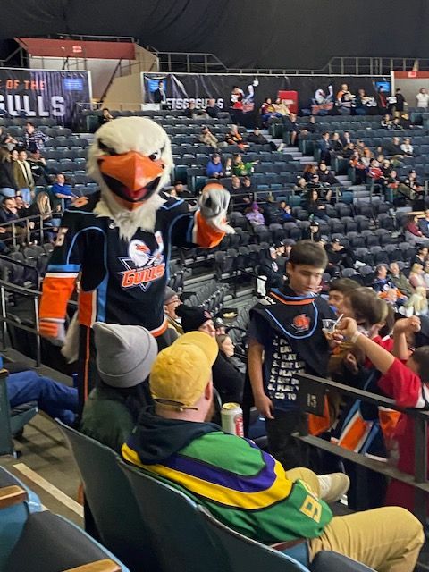 PWI Gulls Hockey Game Night