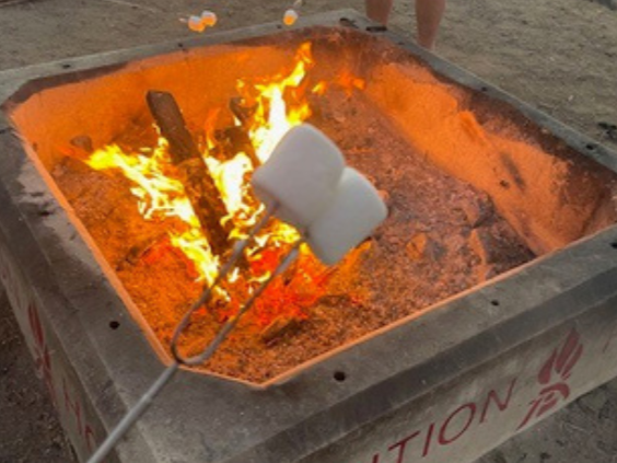 roasting marshmallows over a bonfire