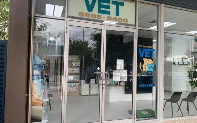 Grocery Store Glass Door - Professional Glazier on Coomera, QLD