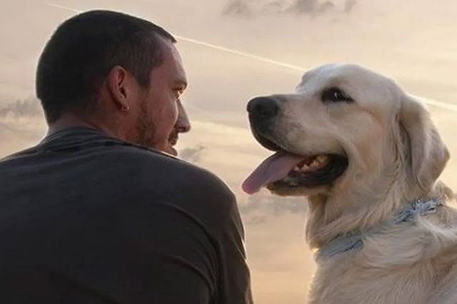 Nigel Reed The Dog Guardian Blog