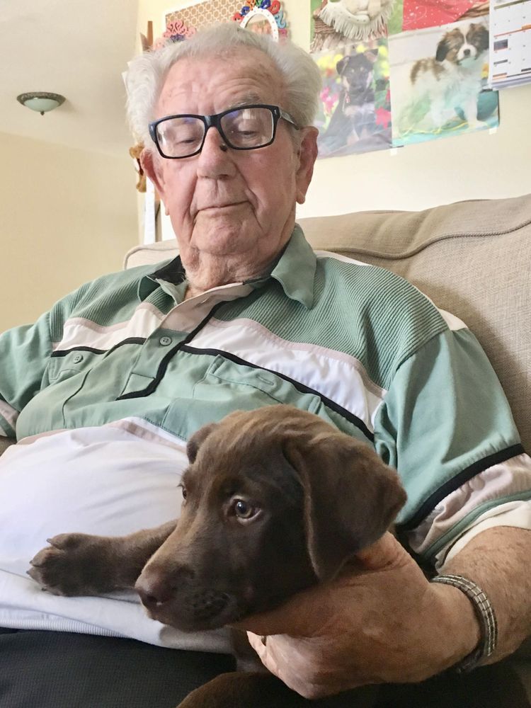 An elderly man is sitting on a couch holding a brown puppy