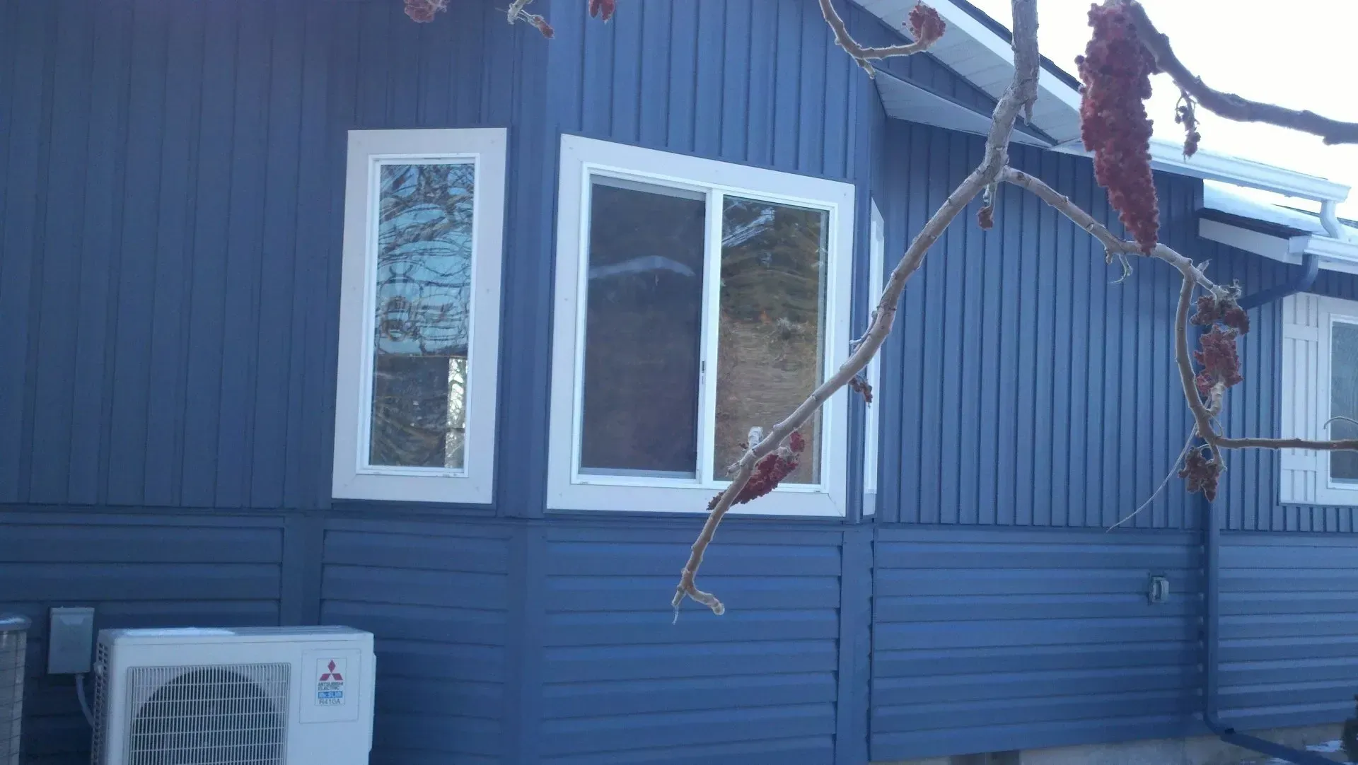 A blue house with a tree branch hanging from the side of it.