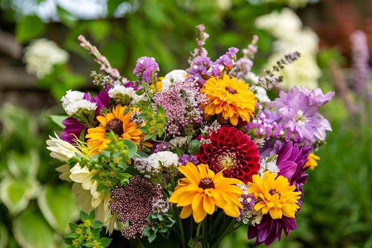 Colorful bouquet of yellow, orange, purple, and red flowers with green foliage against a blurred green background.