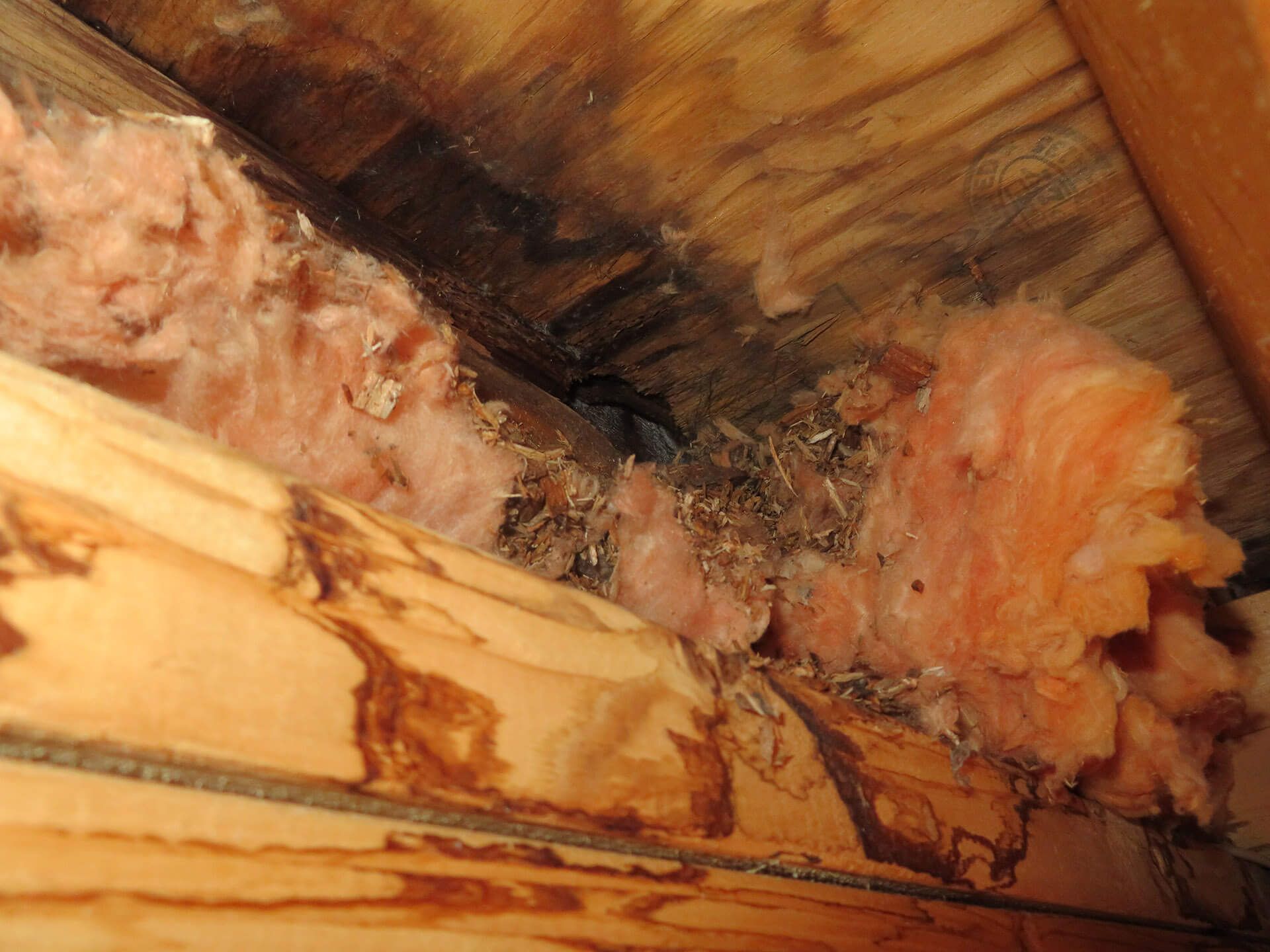 home inspection cost dover nh