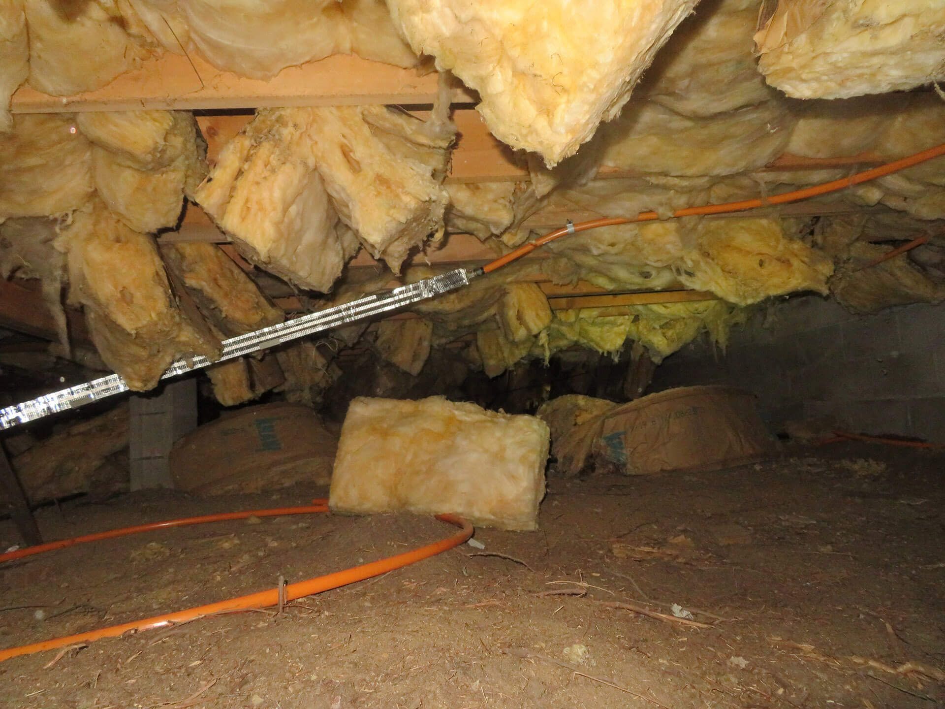 property inspection dover nh